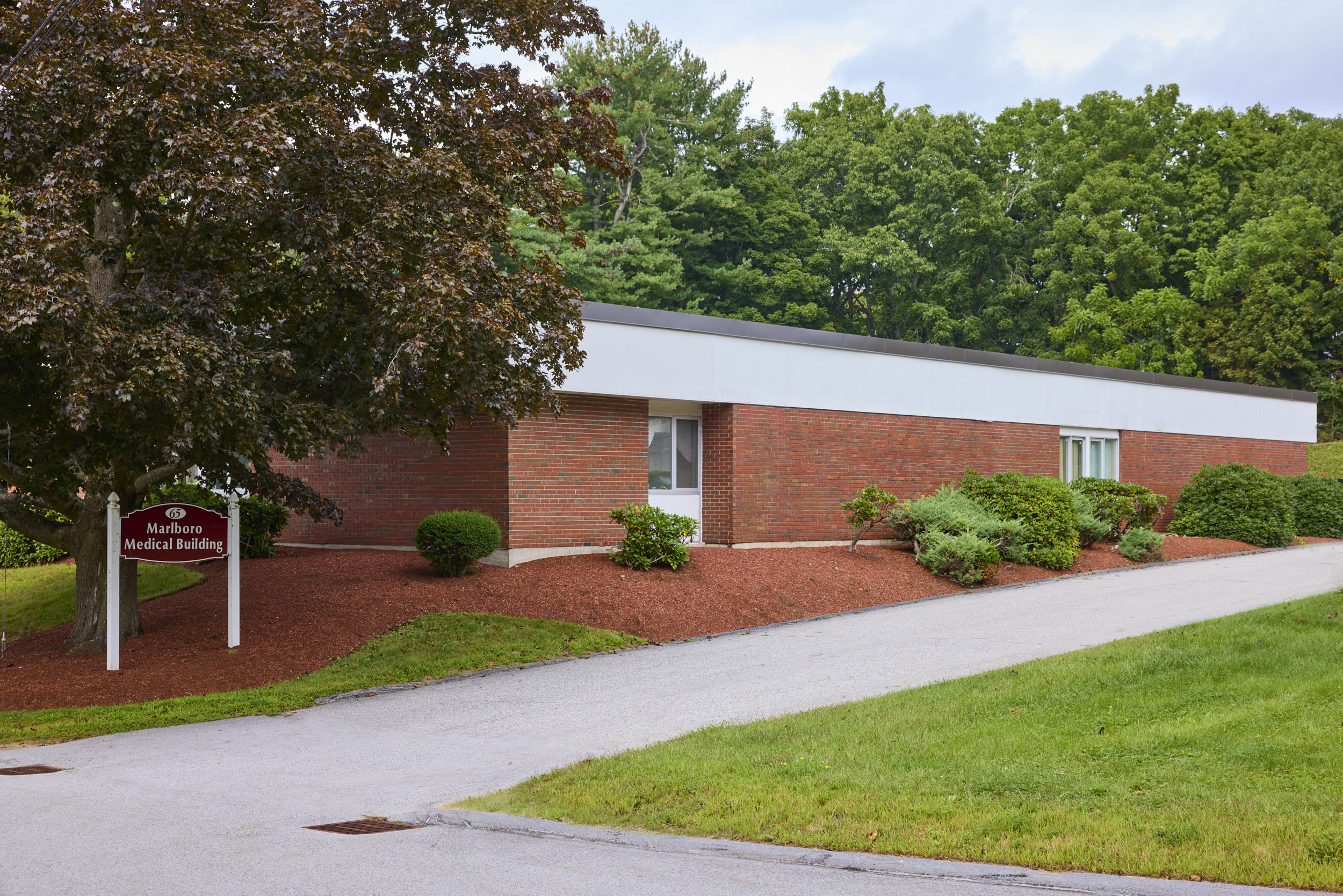 MarlboroughDentalCare_11